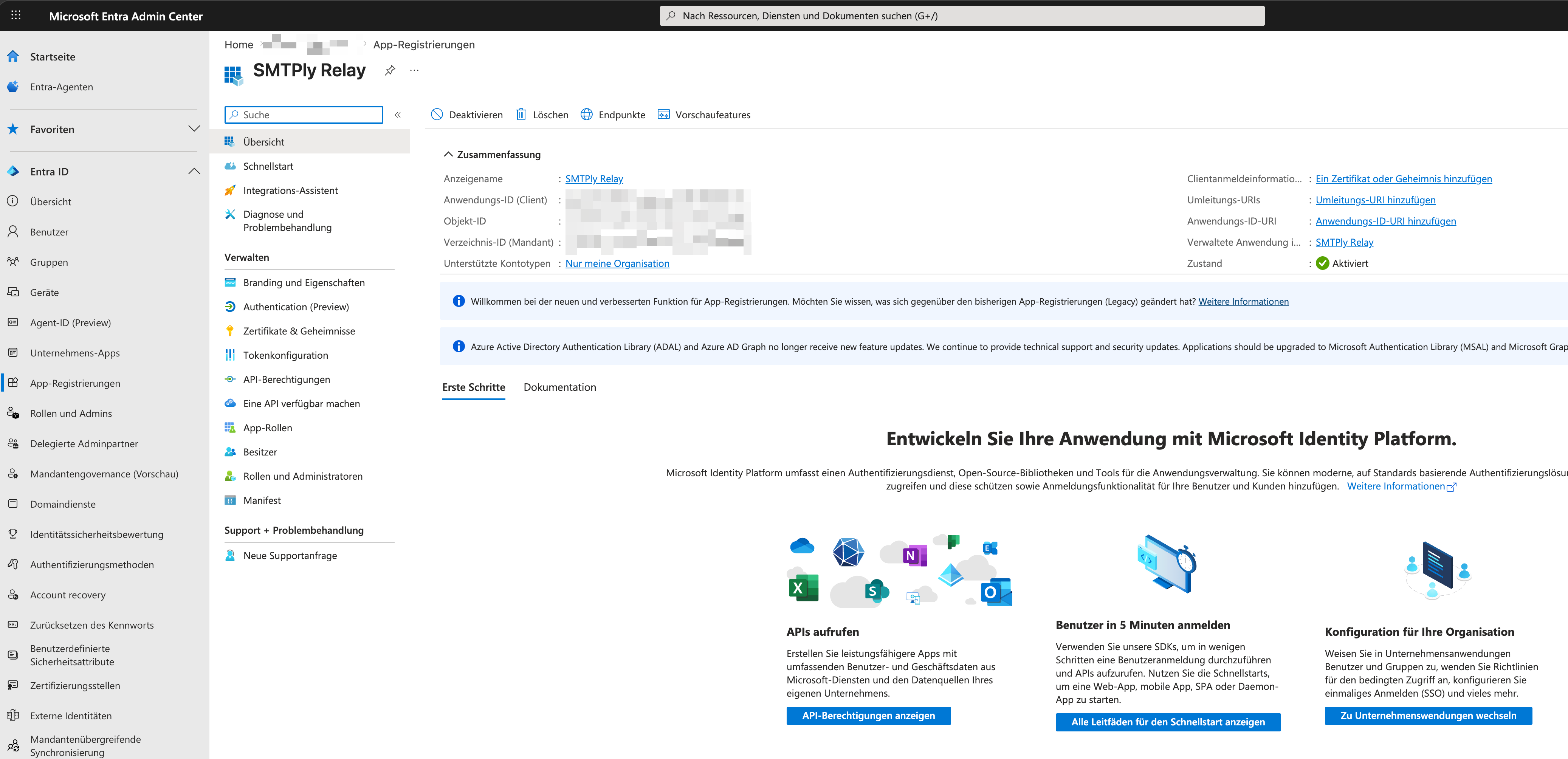 App-Übersichtsseite mit Anwendungs-(Client-)ID und Verzeichnis-(Mandanten-)ID