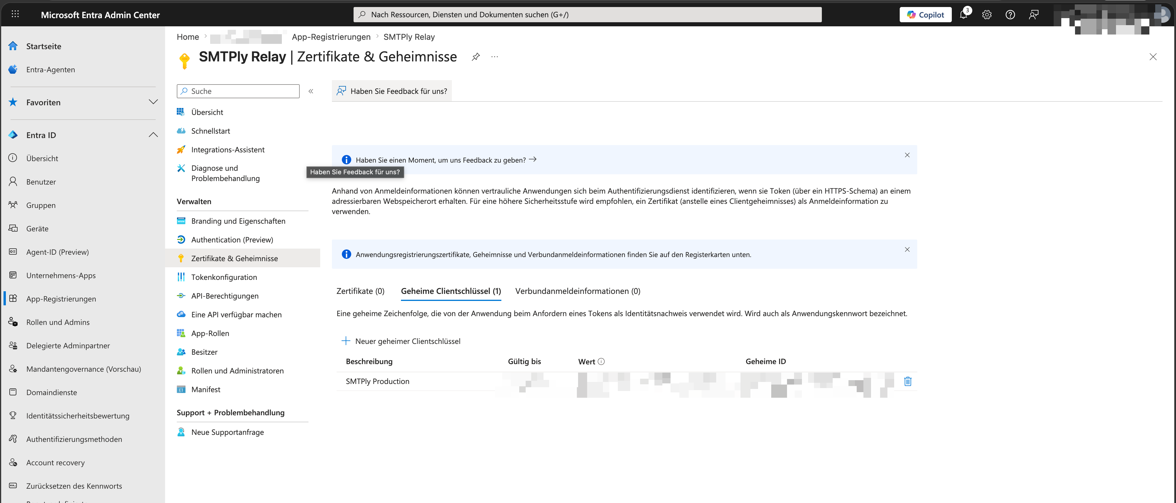 Liste mit dem neu erstellten Client-Secret. Der Wert ist nur in dieser Ansicht im Klartext sichtbar.